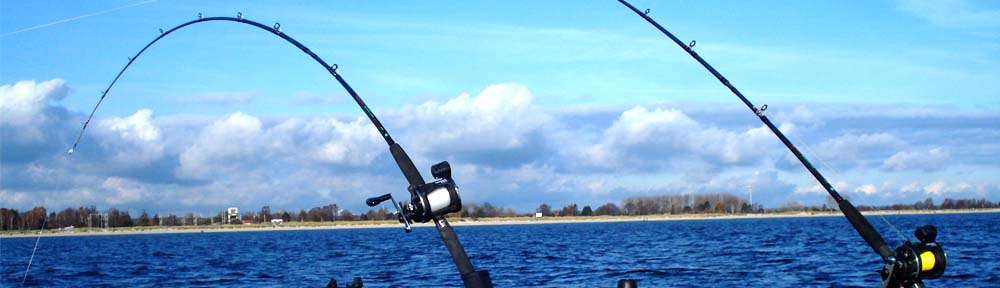 Baltic-Fishing - Das (Schlauch)Bootanglerportal
