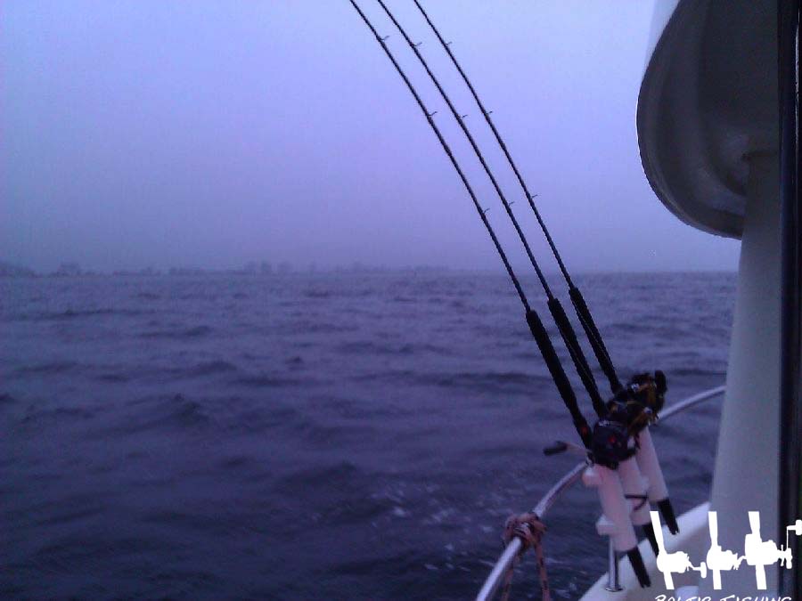 Fladen My-Fishing-World/Bootsrutenhalter für 3 Ruten Trolling Norwegen Dorsch Nordsee Ostsee 
